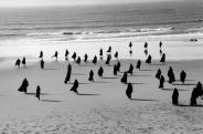 Shirin Neshat: Elragadtatás, filmrészlet